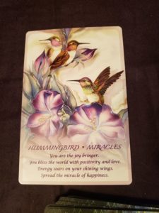 How To Do Tarot - Spirit of the Animals Oracle deck - hummingbird